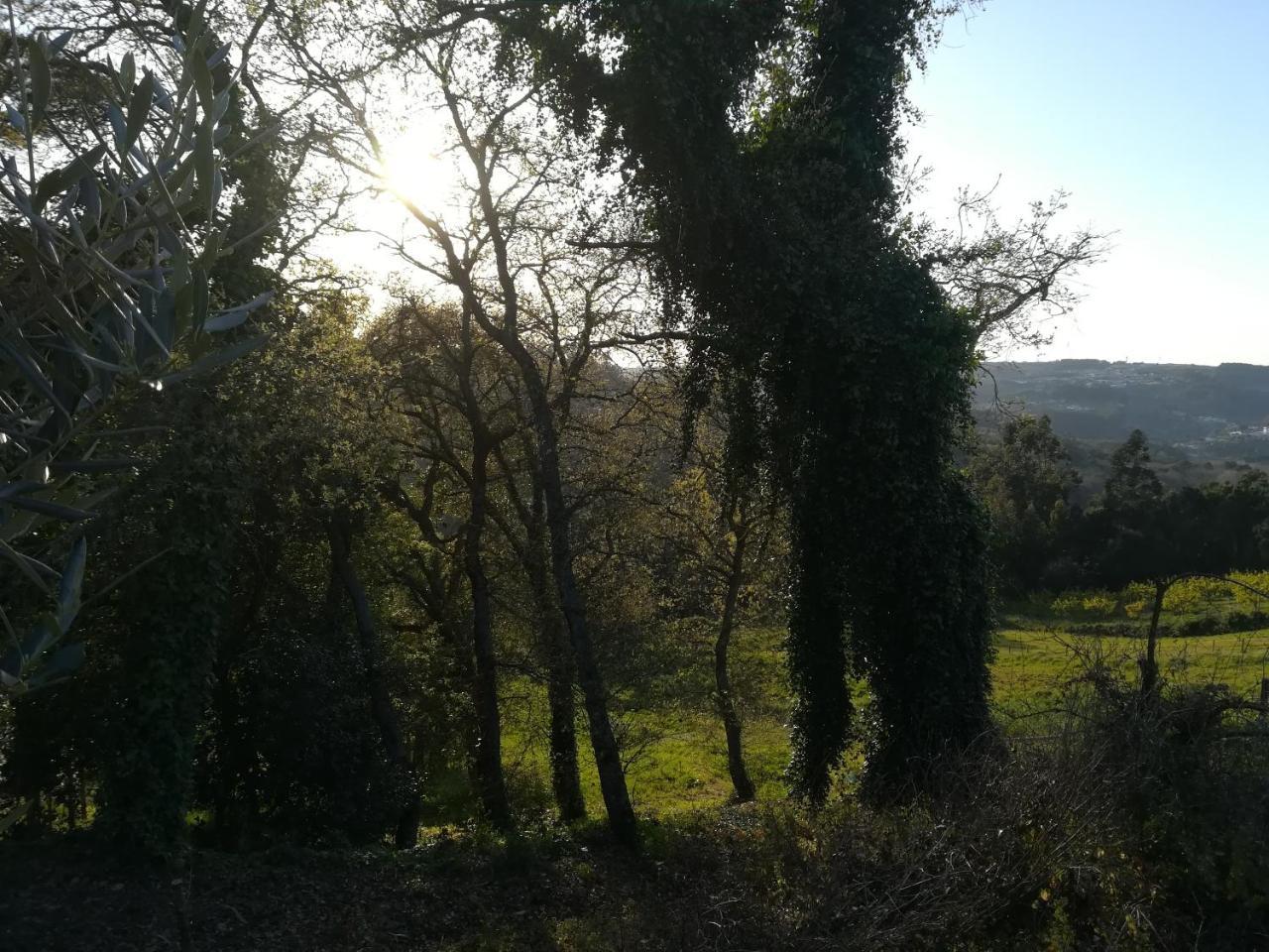 Вілла Quinta Vale Real Алкобаса Екстер'єр фото